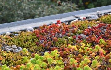 the cost of Poplars green roof installation
