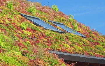 Poplars living roof systems