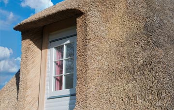 Poplars thatch roof disadvantages