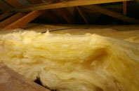 Poplars pitch roof insulation